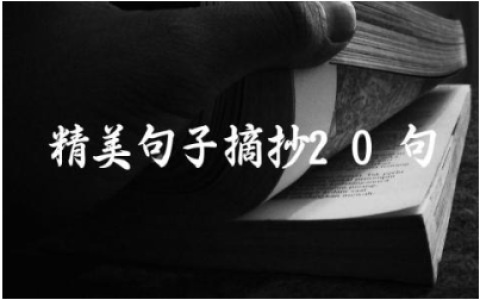 精美句子摘抄20句 让生活更阳光的句子
