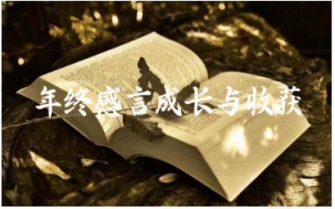 2024年终感言成长与收获怎么写150句