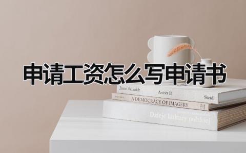2024申请工资怎么写申请书(10篇）