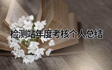 2024检测站年度考核个人总结(范文14篇)