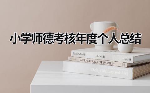 2024小学师德考核年度个人总结(13篇)