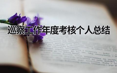 2024巡察工作年度考核个人总结(5篇)