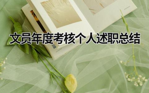 2024年度考核个人述职总结范文(通用11篇）