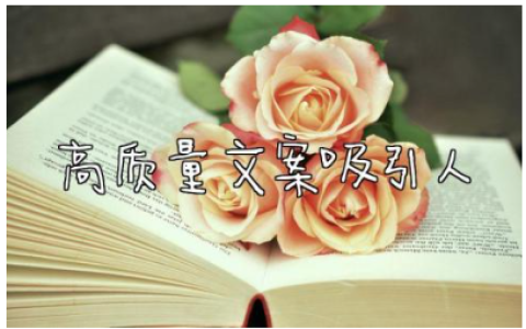 高质量文案吸引人的句子 100句顶级绝美句子