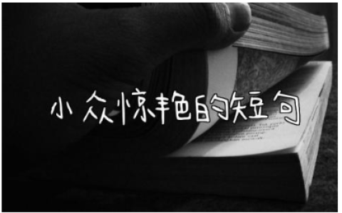 小众惊艳的短句文案 一眼就沦陷的高级文案