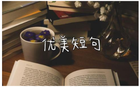10~20字优美短句 适合摘抄的神仙惊艳句子简短