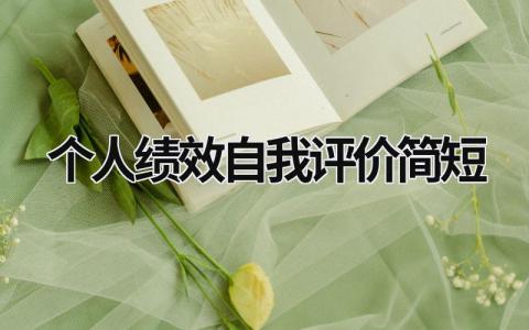 2024精选个人绩效自我评价简短范文(12篇)