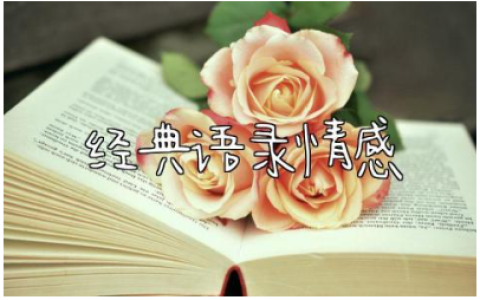 心灵鸡汤经典语录情感 句句深入人心的经典句子