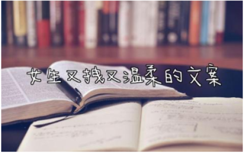 女生又拽又温柔的文案 大女主文案简短高级200句