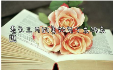 2024春天三月的美好句子发朋友圈(精选220句)
