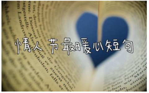 2024情人节最暖心短句 打动女生情话200句表白