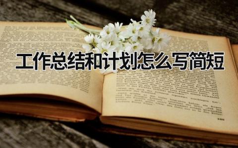 2024工作总结和计划怎么写简短范文(10篇）