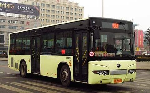 公交车队年终总结范文大全 公交车队年终总结怎么写