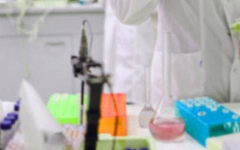 化学教学工作总结个人 高一化学教学工作总结