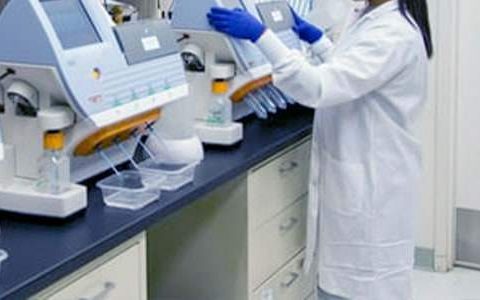 一年级语文教研组工作总结 一年级语文教研组工作总结下学期