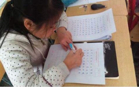 顶岗实习总结3000字 学生顶岗实习手册