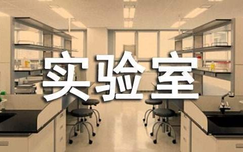 小学实验室工作总结范文 小学实验室工作总结强化校本培训