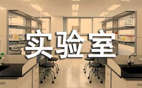 小学实验室工作总结范文 小学实验室工作总结强化校本培训
