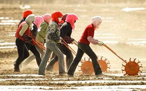 妇女主任年终总结报告 妇女主任年终总结怎么写
