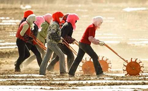 妇女主任年终总结报告 妇女主任年终总结怎么写