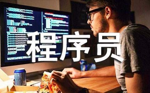 程序员年终总结报告个人工作 程序员年终总结报告
