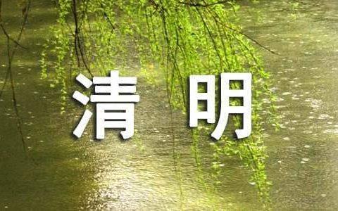 2022最新初中清明节活动总结报告 2022最新初中清明节活动总结与反思