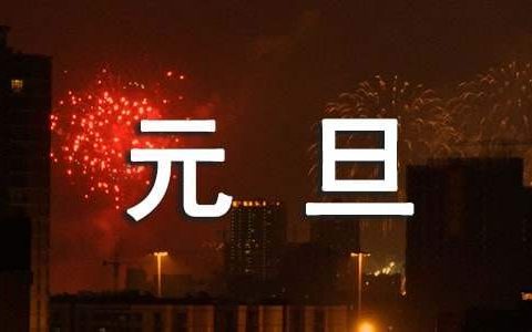 元旦活动总结 元旦活动总结幼儿园