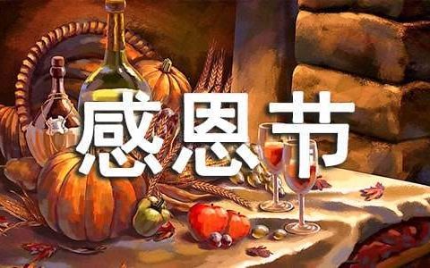 开展感恩节活动总结报告 关于感恩节活动总结