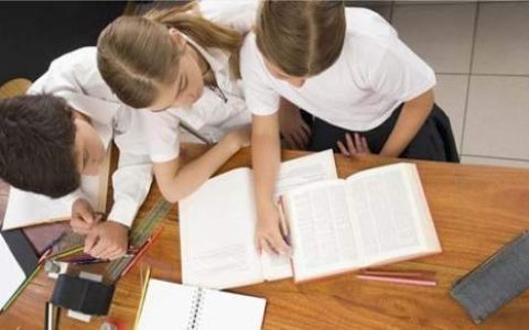 学习部工作总结