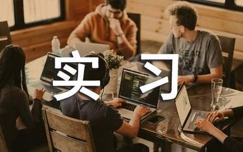 实习生转正工作总结