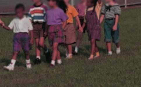 幼儿园中班班级工作总结 幼儿园中班班级工作总结上学期