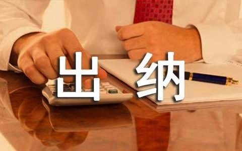 出纳个人工作总结 出纳个人工作总结100字