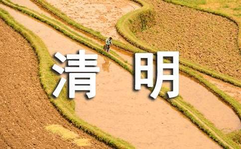 最新开展我们的节日清明节活动总结报告 最新开展我们的节日清明节活动总结