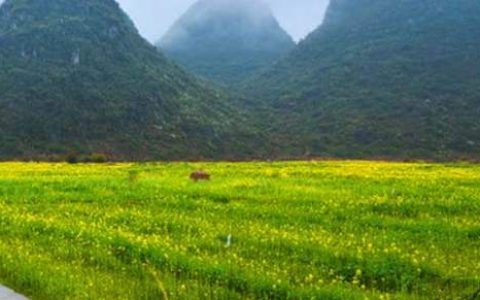 组织春游活动总结怎么写 组织春游活动总结范文