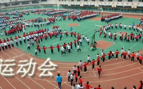 幼儿园亲子运动会方案及流程 幼儿园亲子运动会的活动总结怎么写