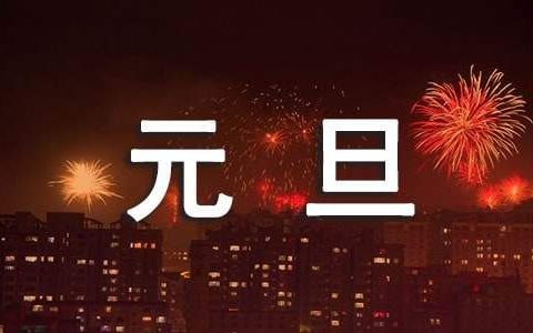 幼儿园元旦活动总结 幼儿园元旦活动总结与反思
