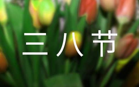 幼儿园三八节活动总结 幼儿园三八节活动总结报告