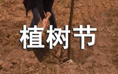 社区植树节主题活动总结报告 社区开展植树节活动总结