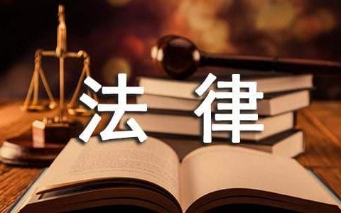 法律服务者工作总结范文 法律服务工作总结报告