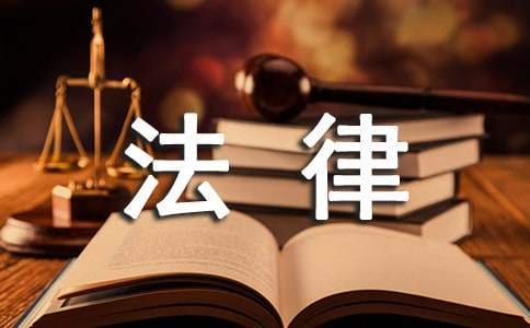 法律服务者工作总结范文 法律服务工作总结报告