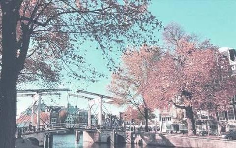 秋季学期少先队工作总结 秋季学期少先队工作总结