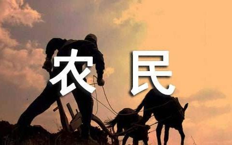 农民工工资欠薪工作总结报告 农民工欠薪总结报告