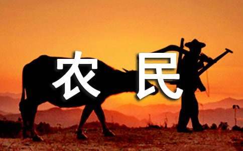根治农民工欠薪工作总结报告 根治农民工欠薪工作总结范文