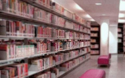 小学图书室的工作总结怎么写 小学图书室的工作总结范文