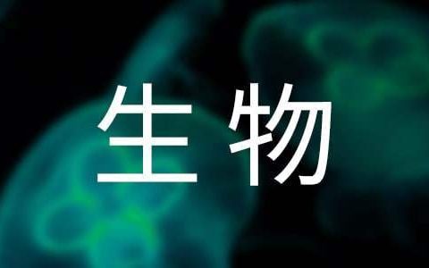 生物教学年终工作总结范文 生物教学年终工作总结报告