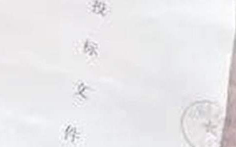 招投标年终工作总结个人 招投标年终工作总结怎么写