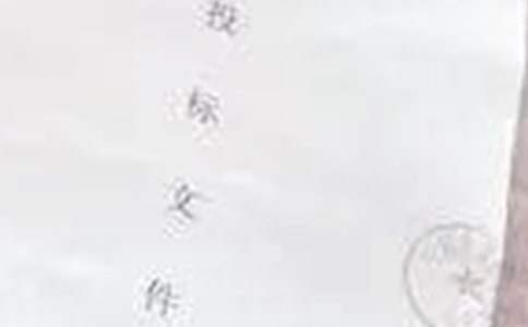 招投标年终工作总结个人 招投标年终工作总结怎么写