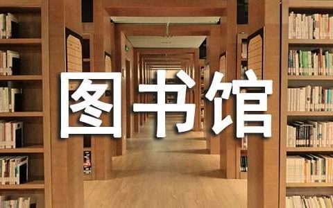 学校图书馆个人工作总结范文 学校图书馆个人工作总结报告