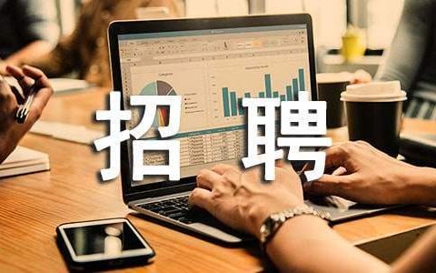 招聘工作总结 人力资源招聘工作总结