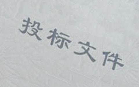投标工作总结 投标工作总结与体会